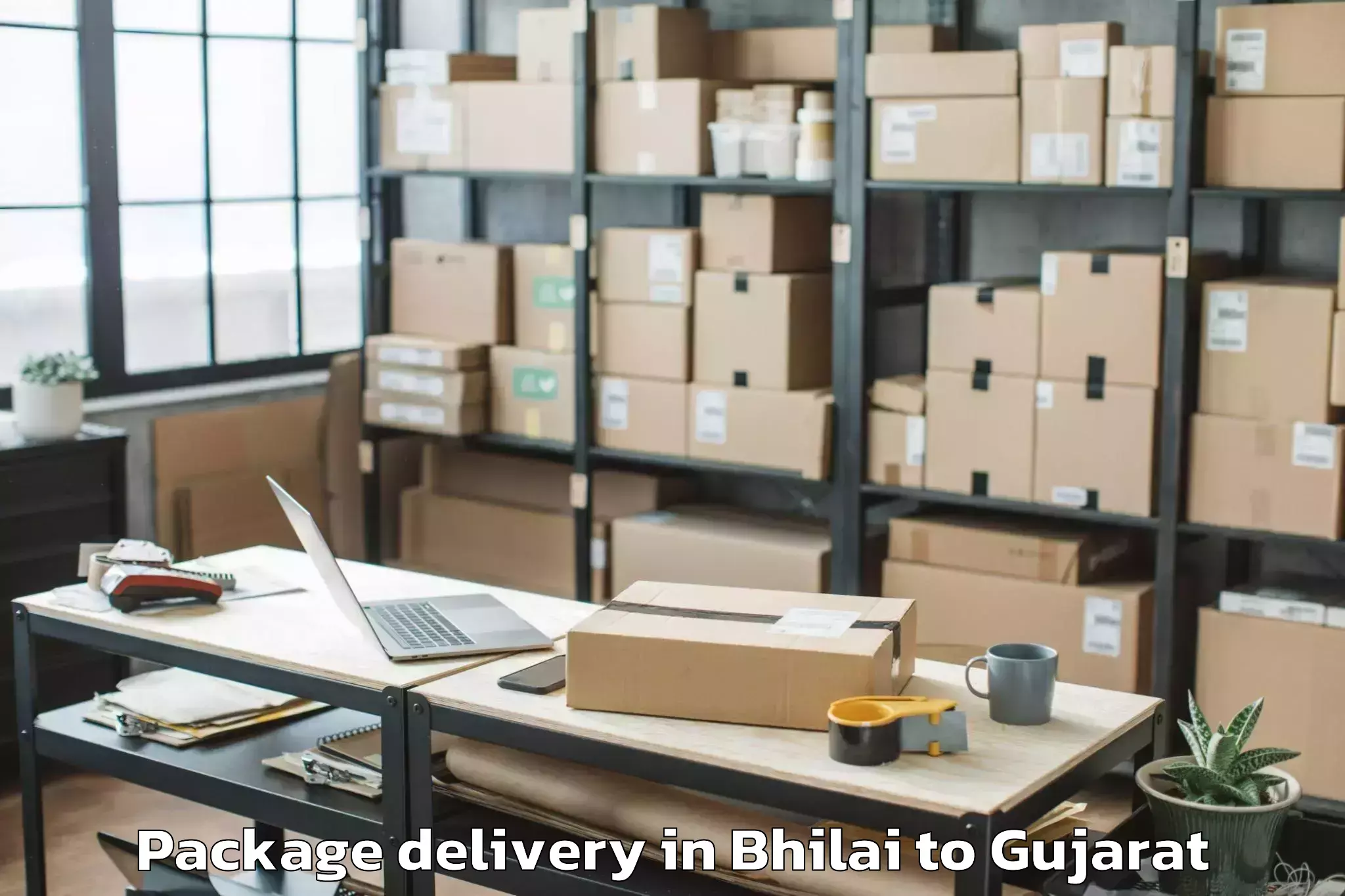 Professional Bhilai to Navrangpura Package Delivery